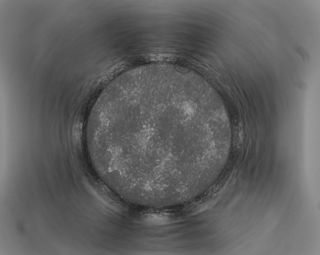 X0000113110263200909251058