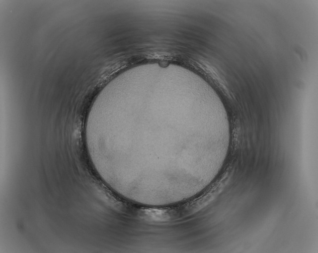 X0000113110265200909251058