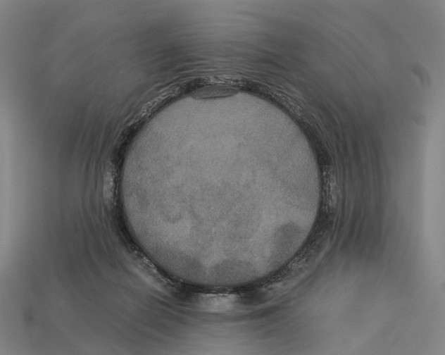 X0000113110266200909251058