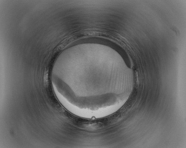 X0000113110267200909251058
