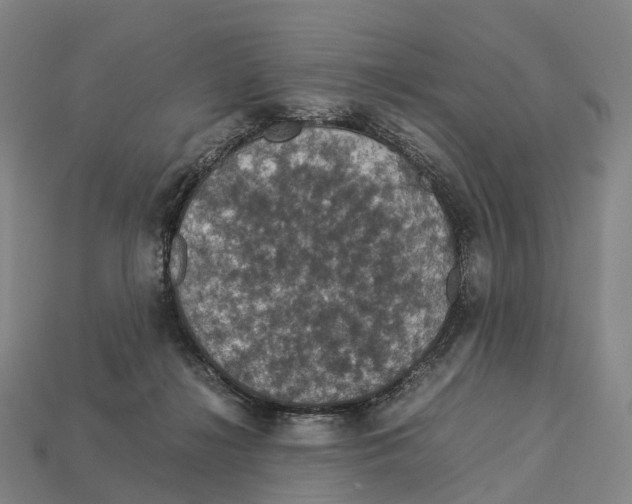 X0000113110268200909251058