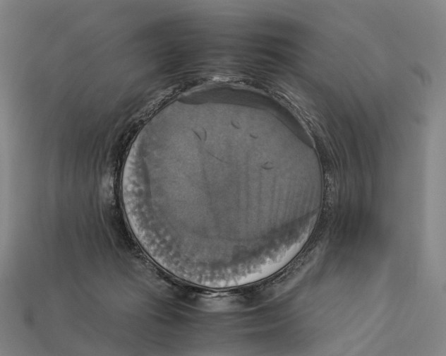 X0000113110269200909251058