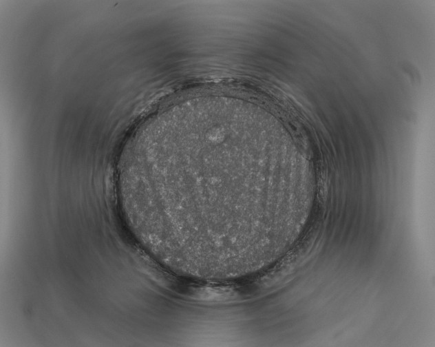 X0000113110270200909251058