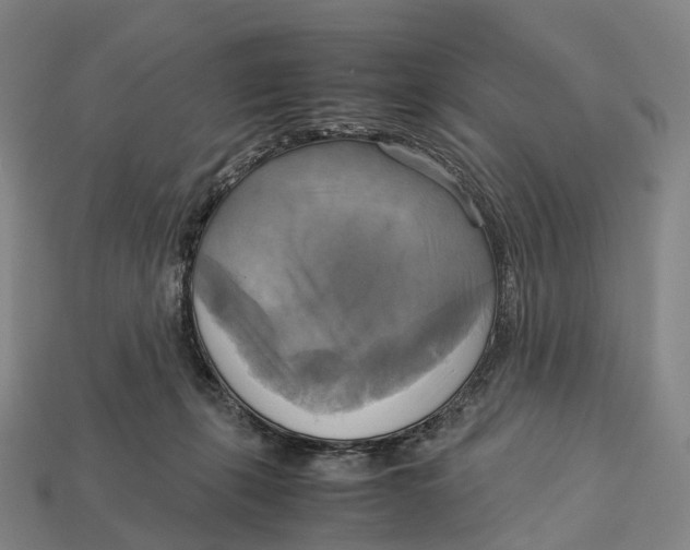 X0000113110271200909251058