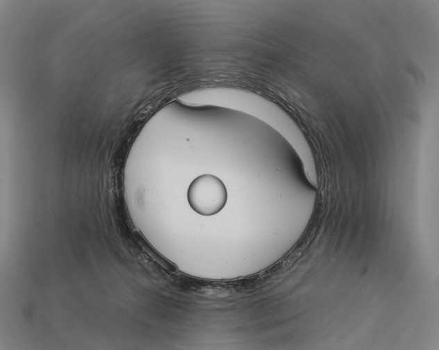 X0000113110272200909251058