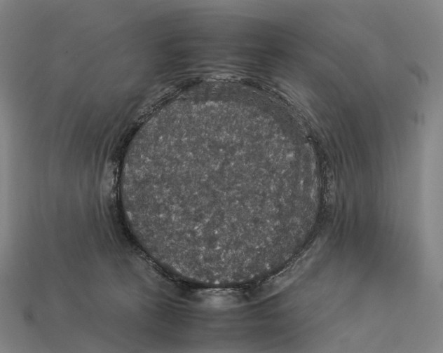 X0000113110273200909251058