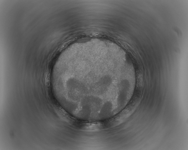 X0000113110274200909251058