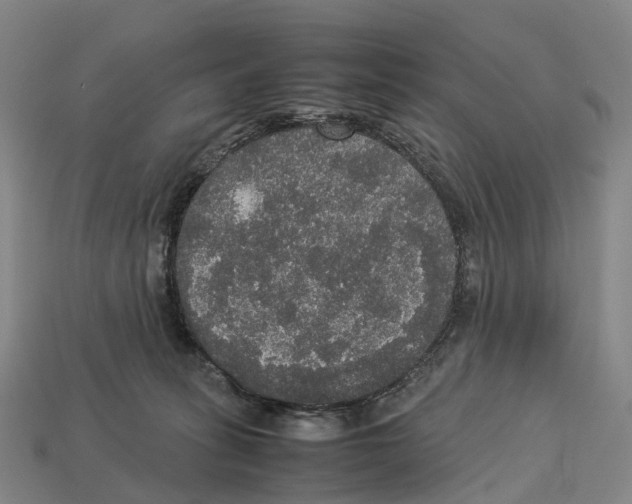 X0000113110275200909251058