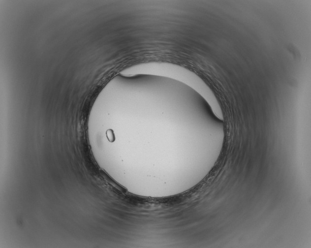 X0000113110276200909251058