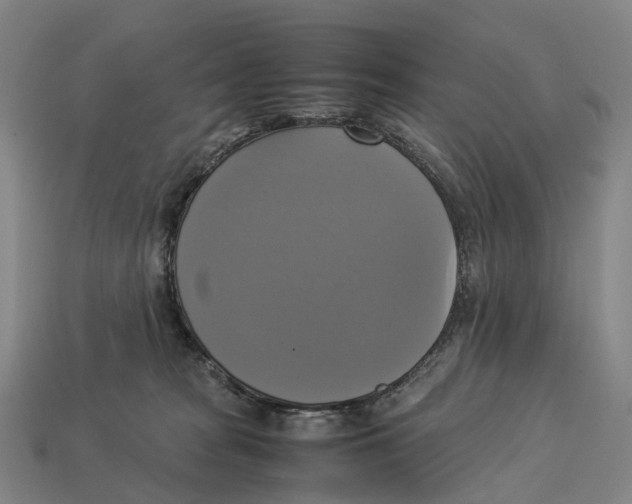 X0000113110277200909251058
