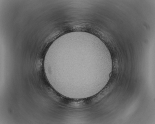 X0000113110278200909251058