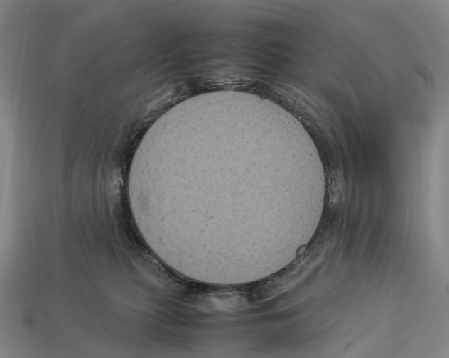 X0000113110279200909251058