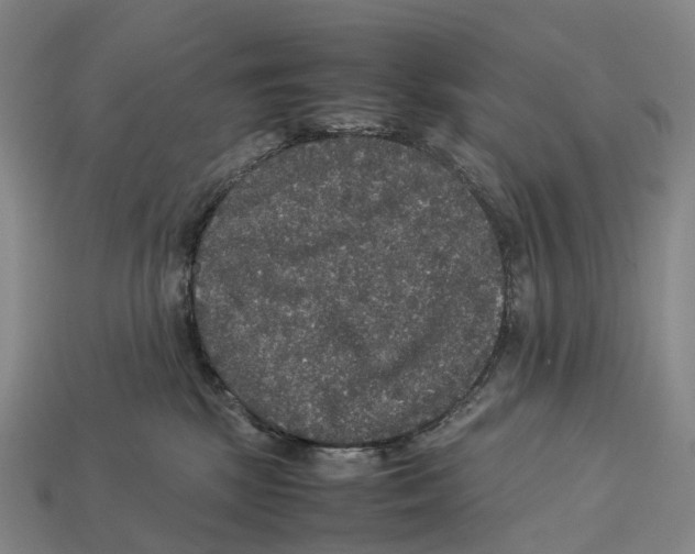 X0000113110281200909251058