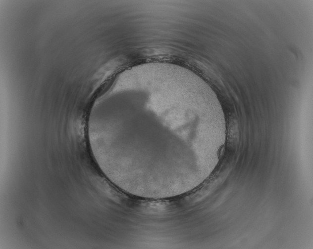 X0000113110282200909251058