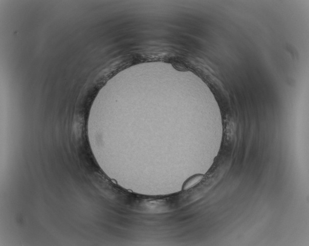X0000113110283200909251058
