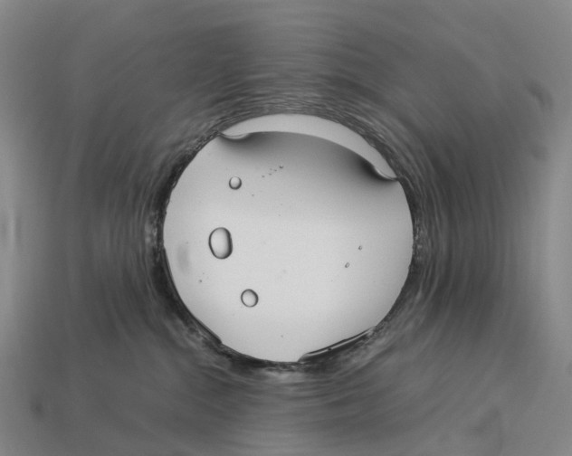 X0000113110284200909251058
