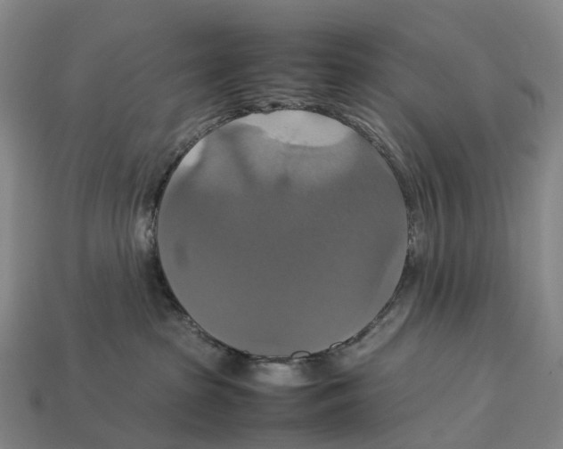 X0000113110285200909251058