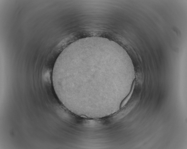 X0000113110286200909251058