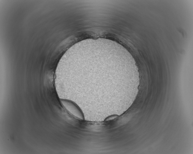 X0000113110288200909251058