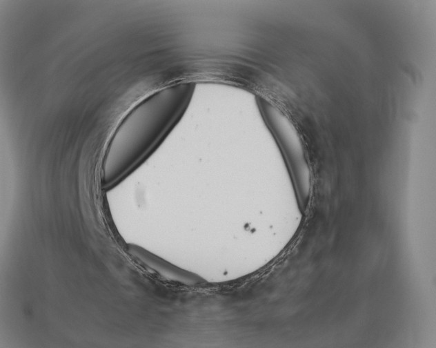 X0000113110289200909251058