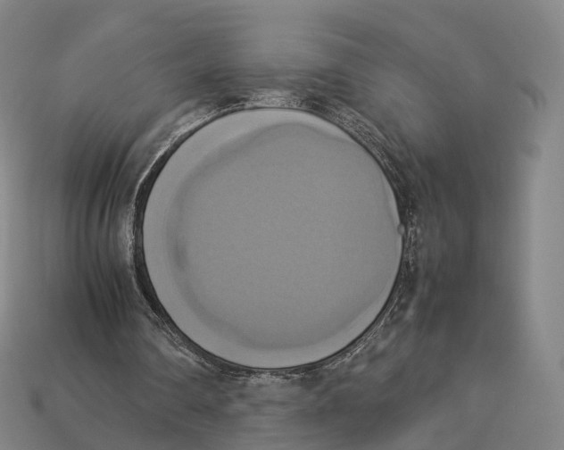 X0000113110290200909251058
