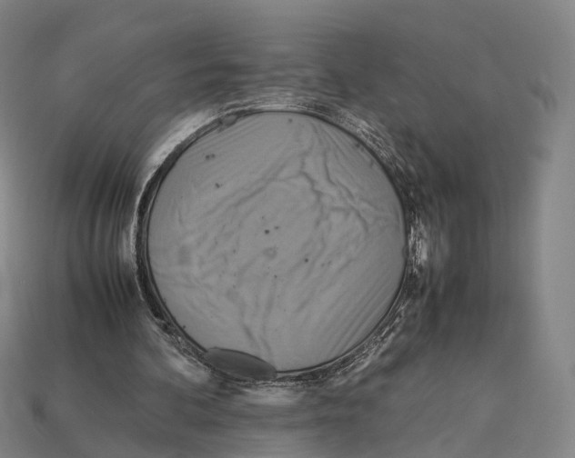 X0000113110292200909251058