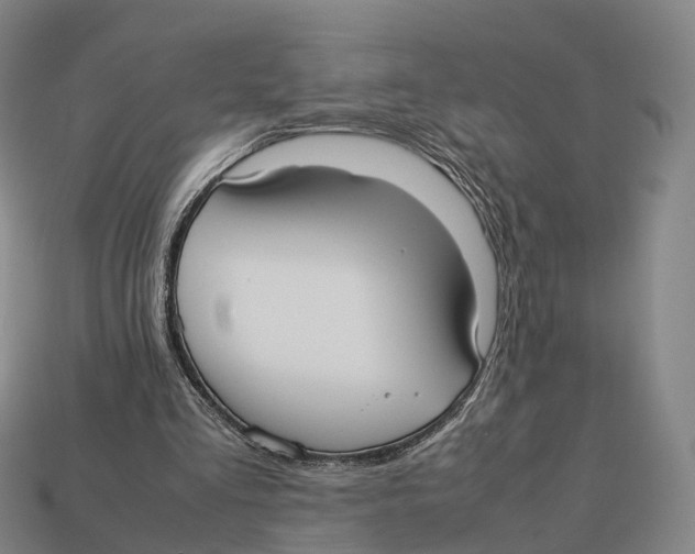 X0000113110293200909251058