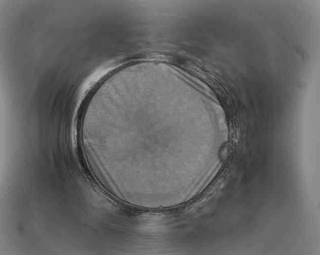 X0000113110294200909251058
