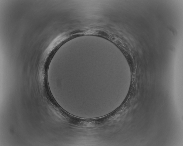 X0000113110295200909251058
