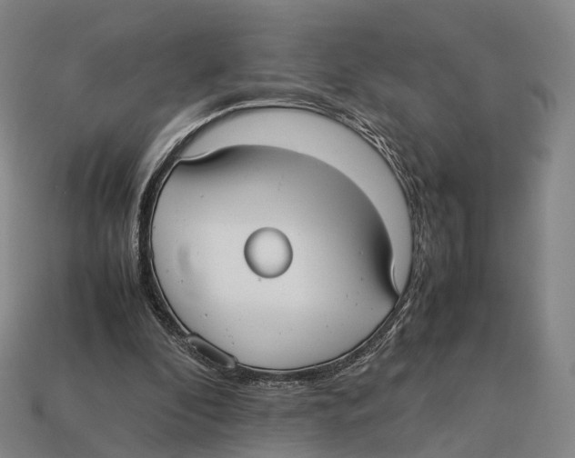 X0000113110296200909251058