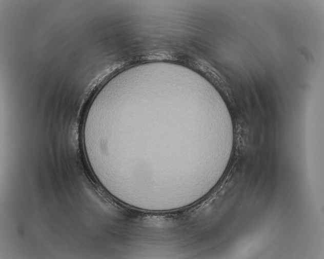 X0000113110298200909251058