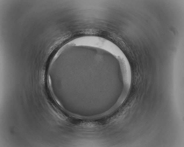 X0000113110299200909251058