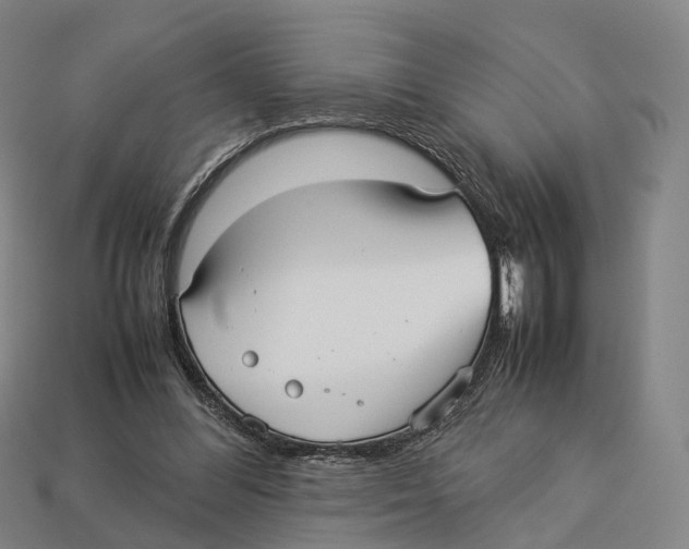 X0000113110300200909251058