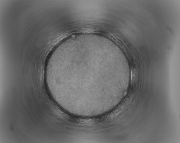 X0000113110301200909251058