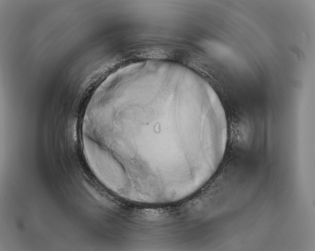 X0000113110302200909251058