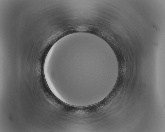 X0000113110303200909251058