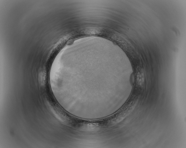 X0000113110304200909251058