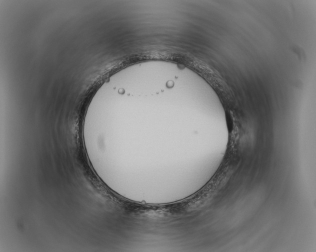X0000113110306200909251057