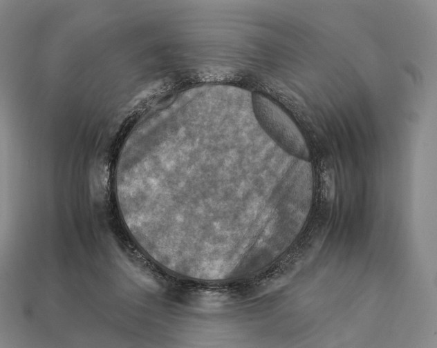 X0000113110308200909251057