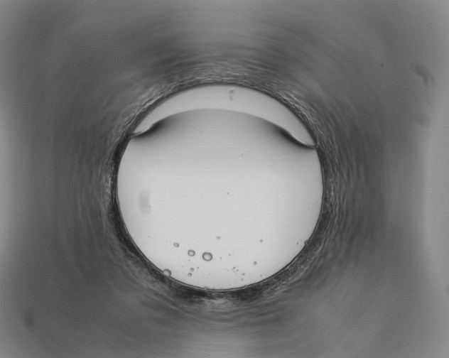 X0000113110309200909251057