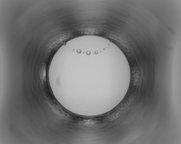 X0000113110310200909251057