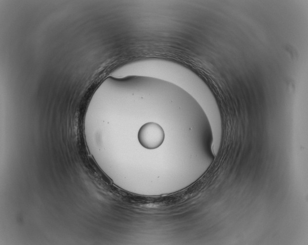 X0000113110312200909251057