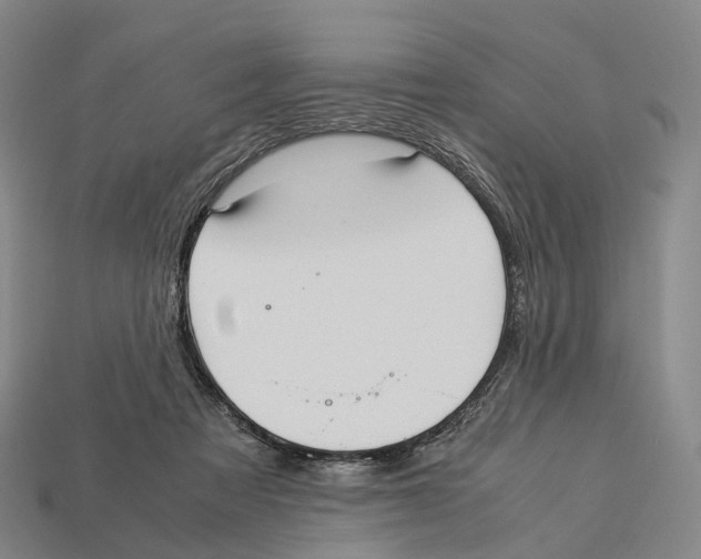 X0000113110313200909251057