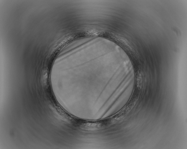 X0000113110314200909251057
