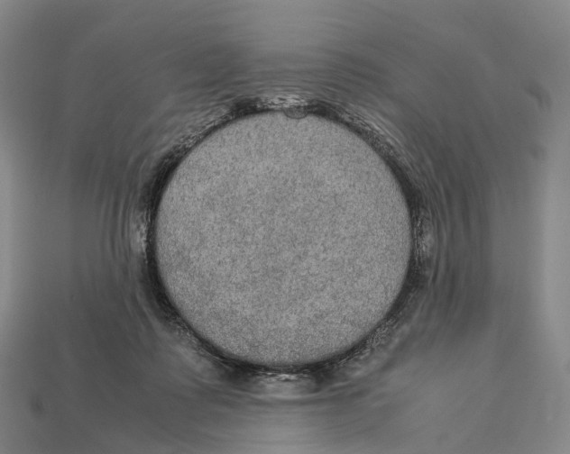 X0000113110315200909251057