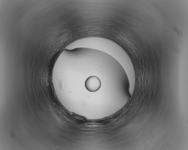X0000113110316200909251057