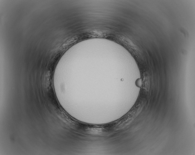 X0000113110318200909251057