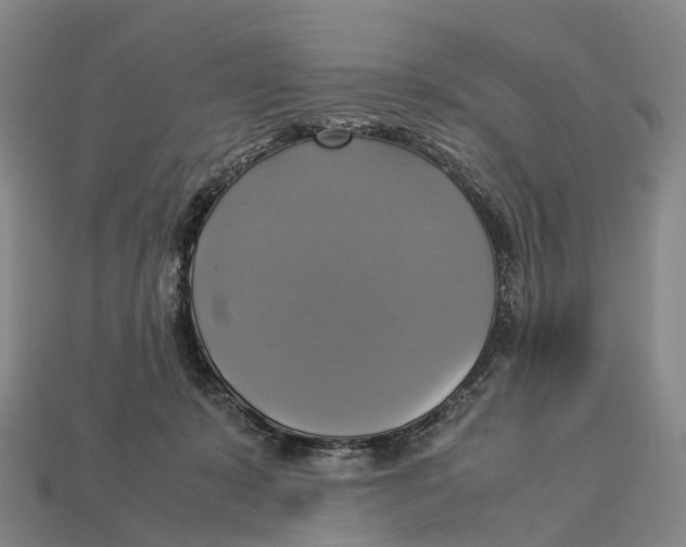 X0000113110319200909251057