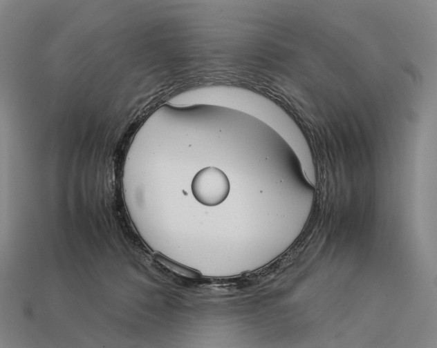 X0000113110320200909251057