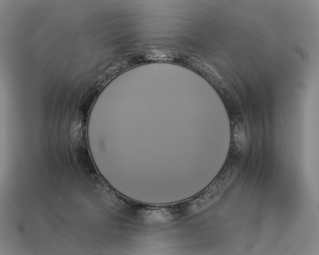 X0000113110322200909251057